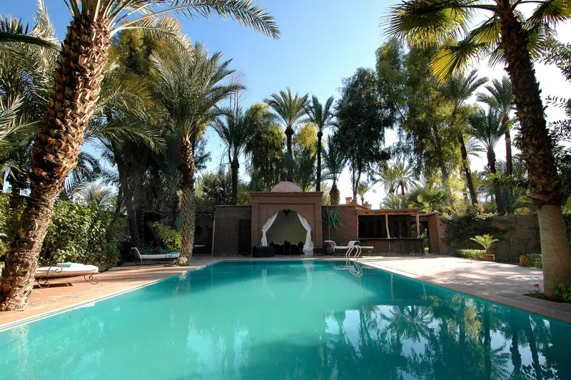 Villa avec piscine et palmiers à Marrakech